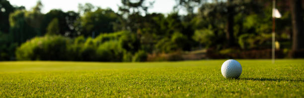 istock Closeup Golf ball on green grass on course 2165846465