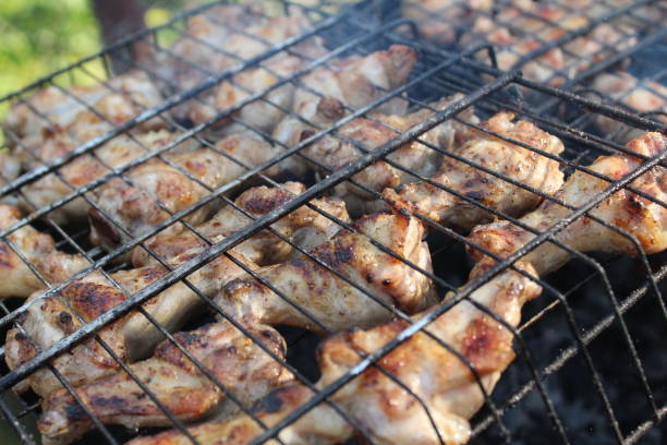 macro photo of chicken barbecue party and satay in the yard