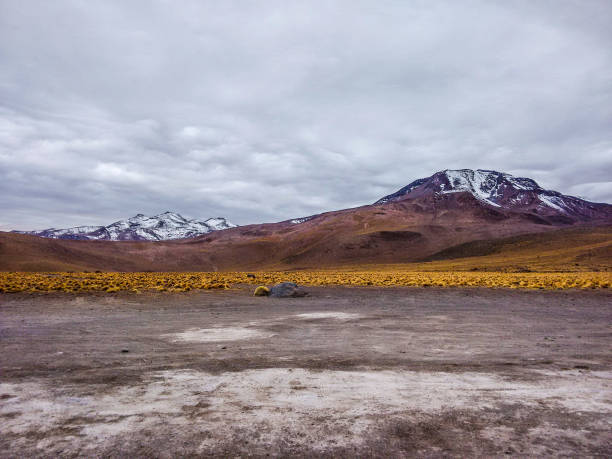 Volcanic landscape from the Altiplano, Tatio geysers.