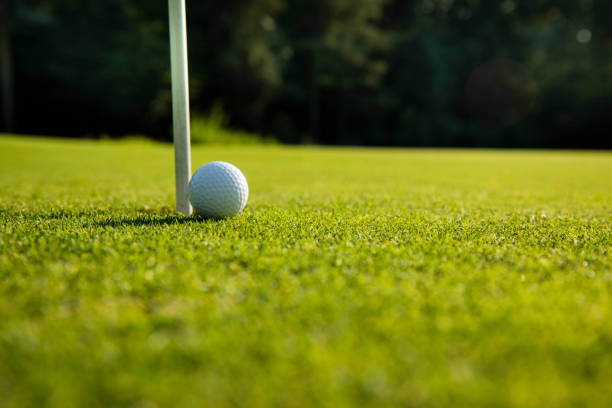 istock Closeup Golf ball on green grass on course 2165853954
