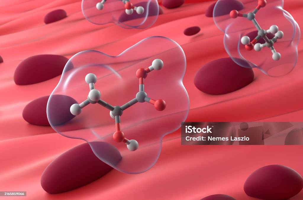 근육 조직의 젖산 3d 일러스트 레이 션 근접 촬영보기 0명에 대한 스톡 사진 및 기타 이미지 - 0명, 건강관리와 의술, 과학 ...