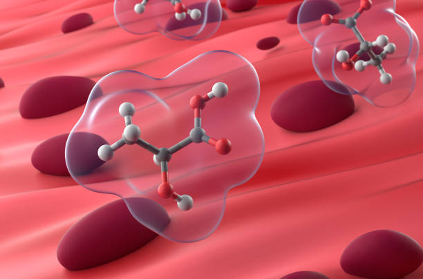 istock Lactic acid in Muscle Tissue - 3d illustration closeup view 2165859066