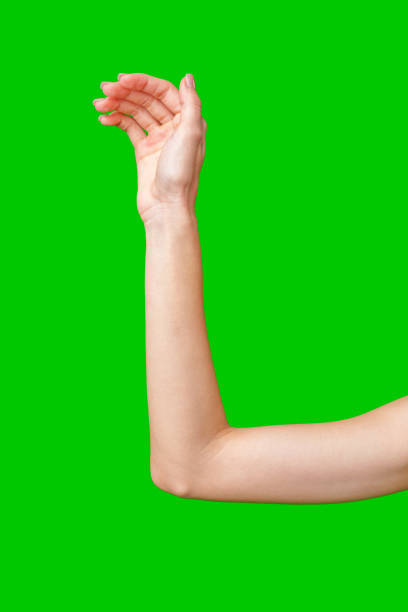 istock Woman's Hand and Forearm Extended Against a Green Screen 2165861193