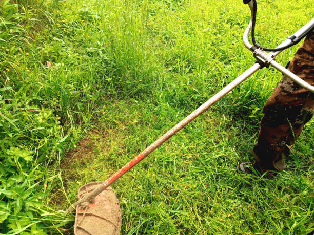istock a man mows the grass with a trimmer on his garden plot. 2165861407