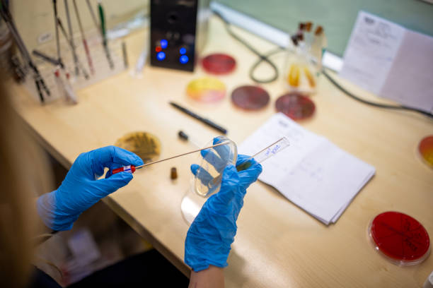 istock Woman working in a laboratory with petri dishes 2165862241