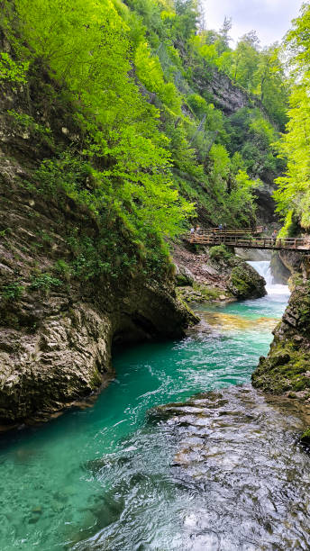 istock Vintgar Gorge, Slovenia, in bright spring day 2165862745