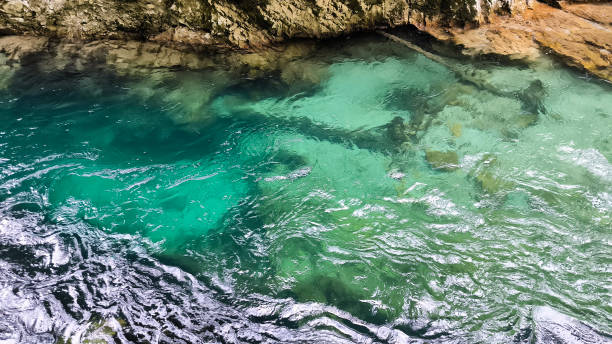 istock Vintgar Gorge, Slovenia, in bright spring day 2165862843
