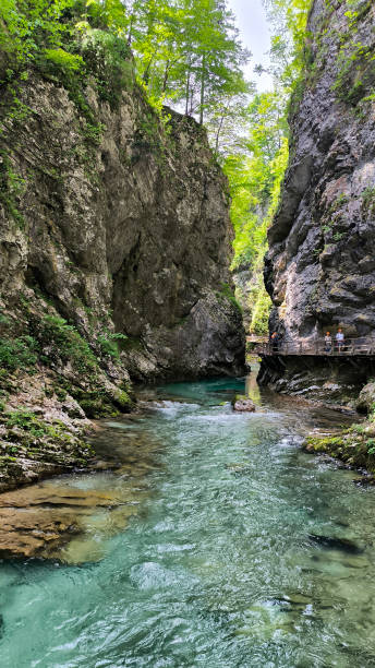 istock Vintgar Gorge, Slovenia, in bright spring day 2165862861