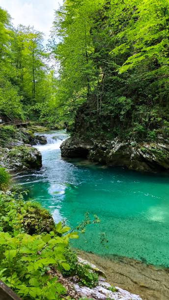 istock Vintgar Gorge, Slovenia, in bright spring day 2165863011