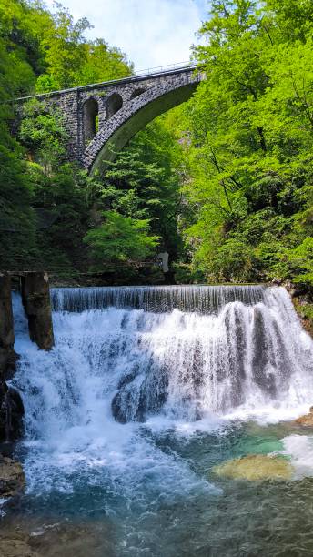 istock Vintgar Gorge, Slovenia, in bright spring day 2165863041
