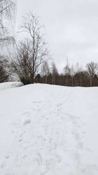 istock Snow covered landscape during winters in Oslo 2165863167