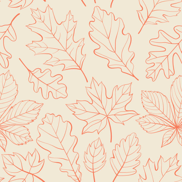 ilustraciones, imágenes clip art, dibujos animados e iconos de stock de las hojas de roble, arce y castaño delinean un patrón sin costuras. hojas de otoño o primavera en estilo garabato. contorno de follaje rojo monocromático vectorial sobre fondo beige para papel de regalo, papel tapiz y tela. - color de hoja otoñal