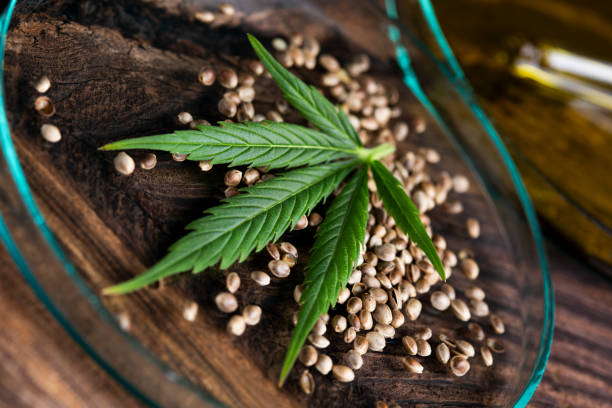 Cbd cosmetics, cannabis and medical marijuana