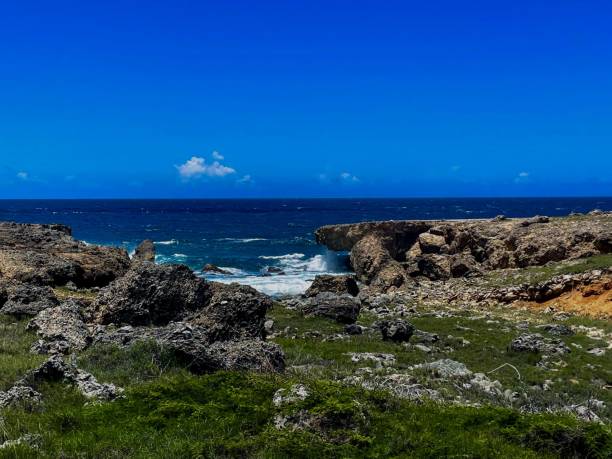 istock Coast of Aruba 2165865260