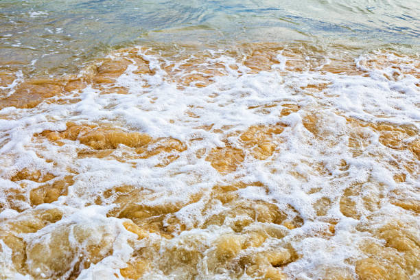 Yellow sand on the seashore as an abstract background. Texture.