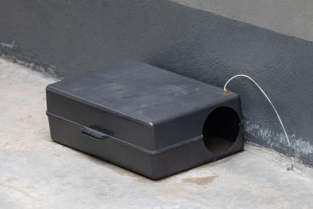 A black plastic rat trap on concrete floor. bait poison box for rat.