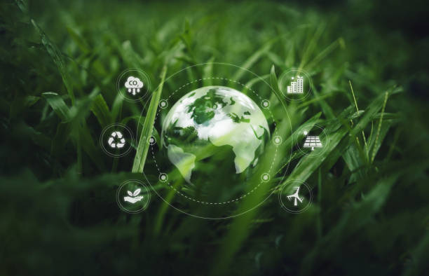 istock Globe on the green grass in the forest, environmental concept 2165871139