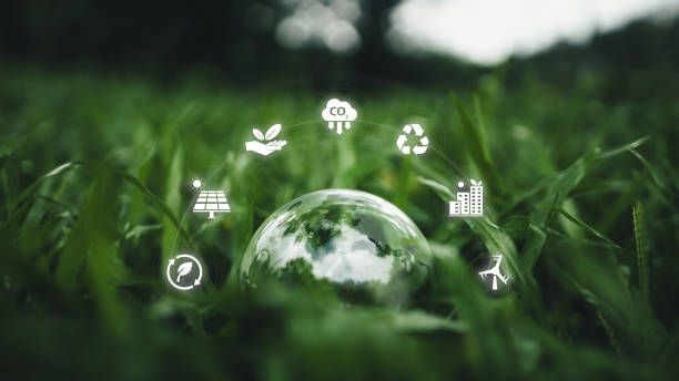 istock Globe on the green grass in the forest, environmental concept 2165871165