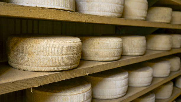 istock Cheese production in Italy 2165871224