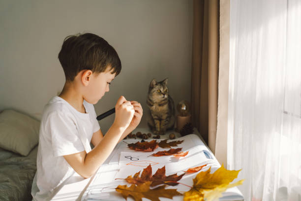 istock A boy concentrates on a creative activity, using assorted autumn leaves for an art project on a bright, sunlit table with cat. 2165876266