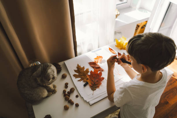 A boy concentrates on a creative activity, using assorted autumn leaves for an art project on a bright, sunlit table with cat.