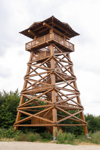 istock Wooden observation tower in nature 2165876444
