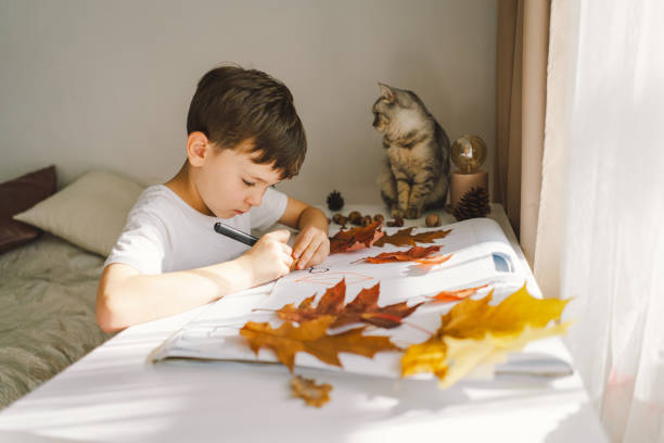 istock A boy concentrates on a creative activity, using assorted autumn leaves for an art project on a bright, sunlit table with cat. 2165876616