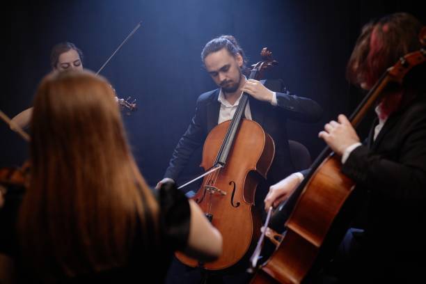 istock Classical Music Artist Performing with Chamber Ensemble 2165879055