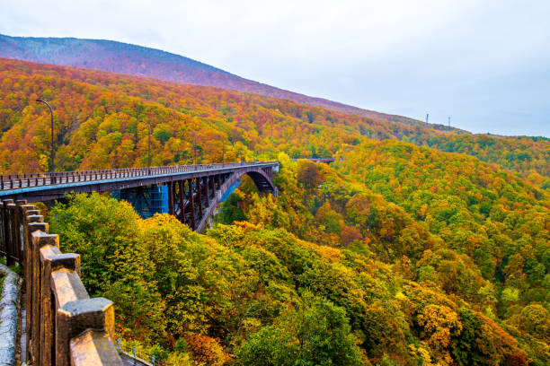 istock Autumn leaves at Jogakura Bridge, Aomori Prefecture 2165879062