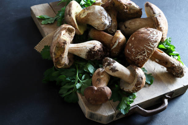 istock Organic porcini mushrooms. 2165879156