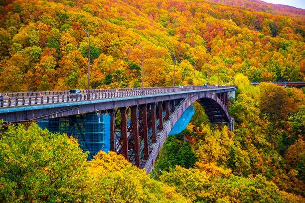 istock Autumn leaves at Jogakura Bridge, Aomori Prefecture 2165879189