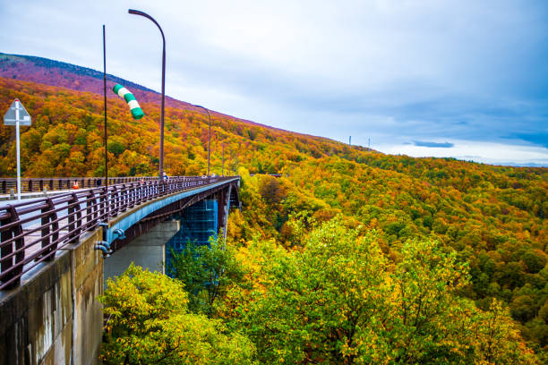 istock Autumn leaves at Jogakura Bridge, Aomori Prefecture 2165880245