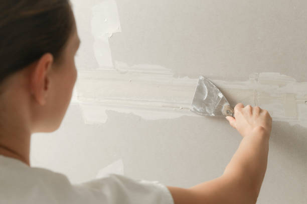 istock Woman taping and mudding joins pieces of drywall into a single solid wall. Fixing dry wall surface and preparation for painting. DIY housing improvement project. 2165880375