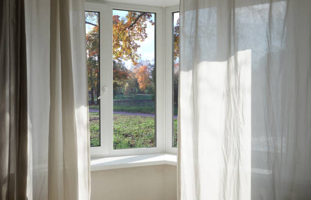 istock View from the window, green trees, landscape with park. 2165880401