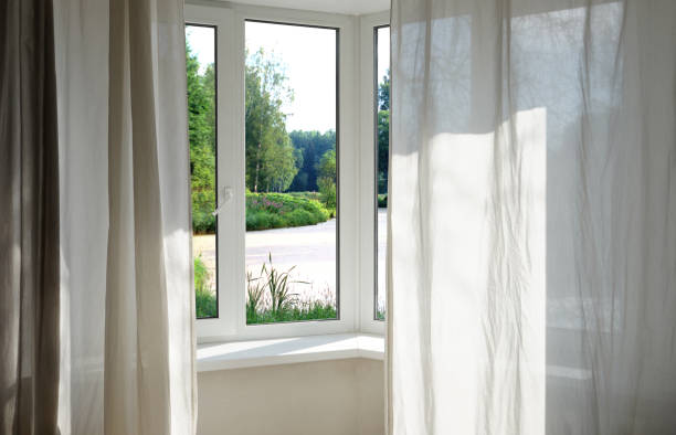 istock View from the window, green trees, landscape with park. 2165880403