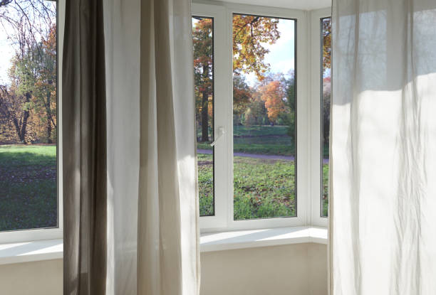 istock View from the window, green trees, landscape with park. 2165880407