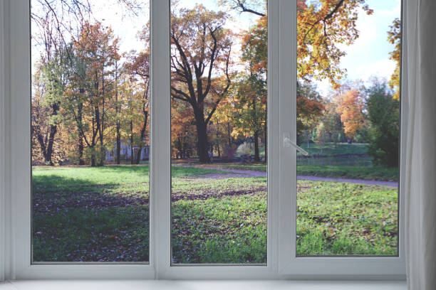 istock View from the window, green trees, landscape with park. 2165880410