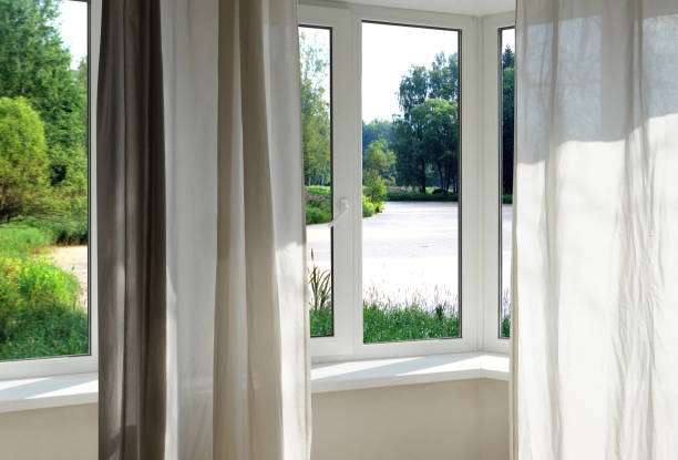 istock View from the window, green trees, landscape with park. 2165880412