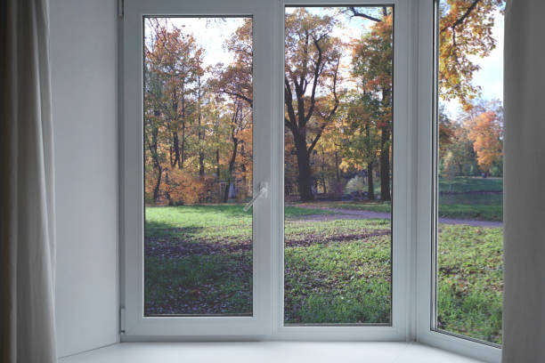 istock View from the window, green trees, landscape with park. 2165880425