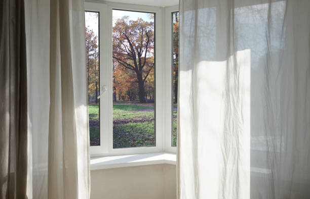 istock View from the window, green trees, landscape with park. 2165880426