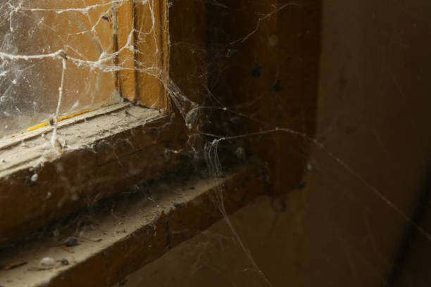 istock Dirt and spider web at the window in abandoned house 2165884189