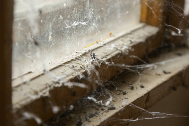 istock Dirt and spider web at the window in abandoned house 2165884344