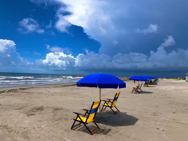 istock Beach chairs and umbrellas set up on Texas beach Galveston 2165885402