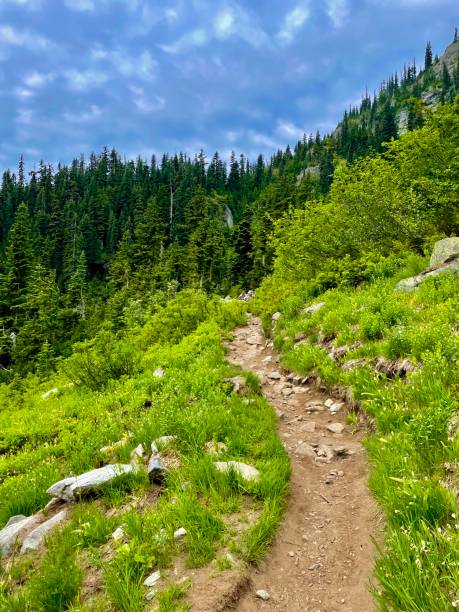 istock Maple pass loop trail in north cascades national park Washington 2165885446