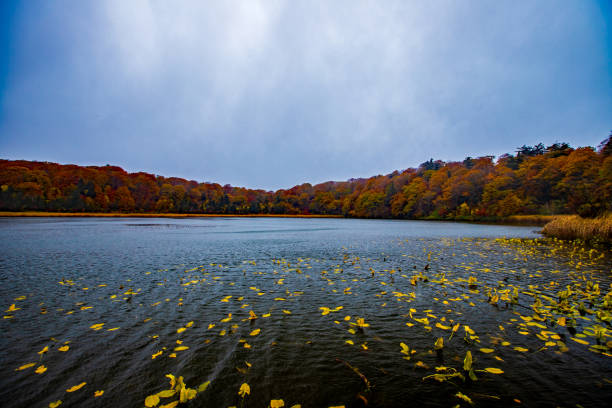 Autumn foliage at Hachimantai and Onuma in Akita Prefecture