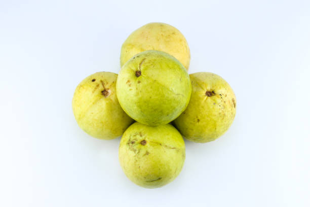 five half ripe red guavas on a white isolated background