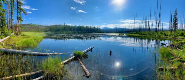 istock However Lake in Glacier National Park 2165889812