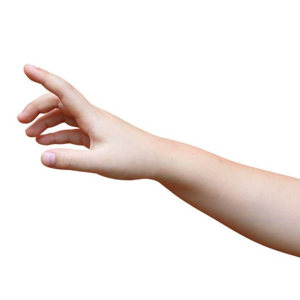A child's hand is holding something on a white background.
