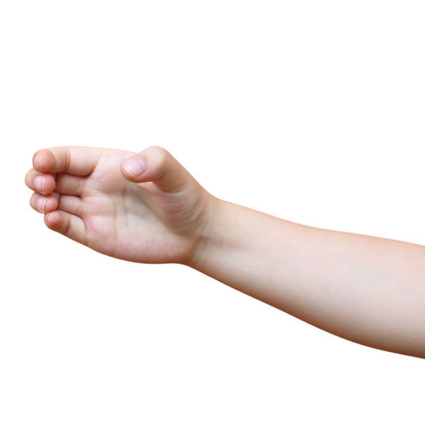 A child's hand is holding something on a white background.
