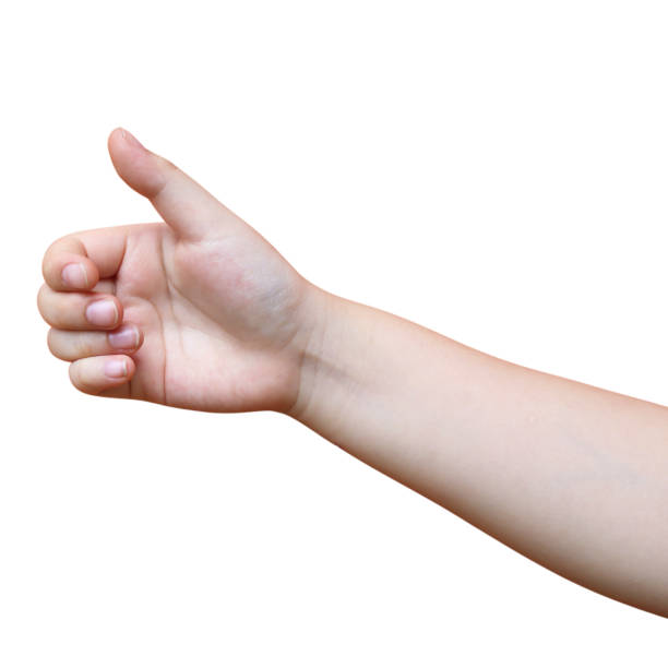 istock A child's hand is holding something on a white background. 2165890051